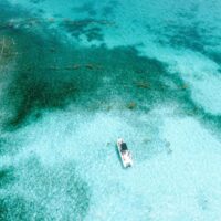 Cruises, Sailing & Water Tours
