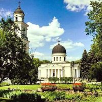 Private Sightseeing Tours