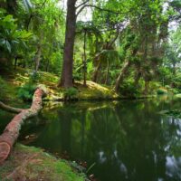 Plantation Tours