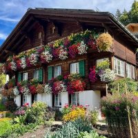 Walking Tours