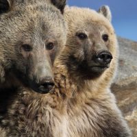 Multi-day Tours