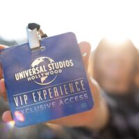 Universal Theme Parks