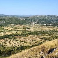 Luxury Tours