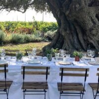 Wine Tasting & Winery Tours
