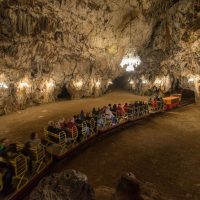 Half-day Tours