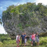 Luxury Tours