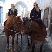 Horseback Riding