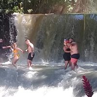 Private & Custom Tours