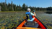 Unforgettable 3-day canoe trip with Buz in stunning Algonquin Park