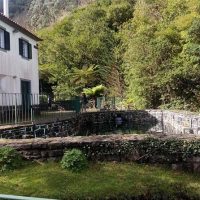 Tours & Sightseeing