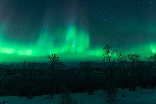 New Year’s Eve in Northern Sweden