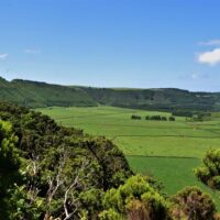 Shore Excursions