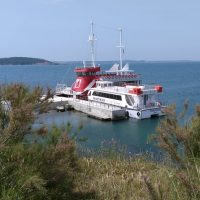 Catamaran Cruises