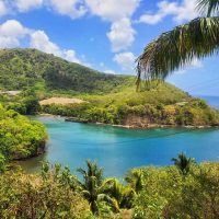 Airport & Ground Transfers