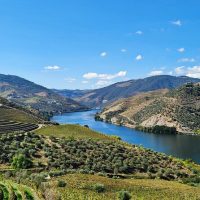 Cultural & Theme Tours