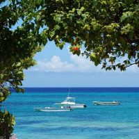 Cultural & Theme Tours