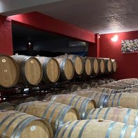 Wine Tasting & Winery Tours