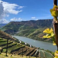 Historical & Heritage Tours