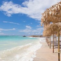 Bus & Minivan Tours