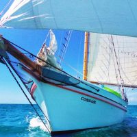 Cruises, Sailing & Water Tours