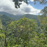 Walking & Biking Tours