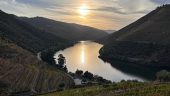 Magical day in the Douro