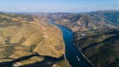 Full day Douro cruise and wine tasting tour.