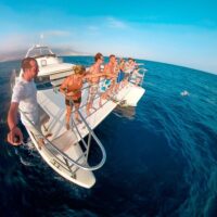 Cruises, Sailing & Water Tours