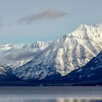 Bus & Minivan Tours