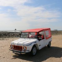 Shore Excursions