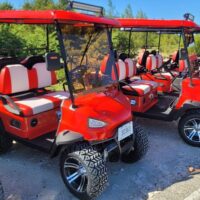 Shore Excursions