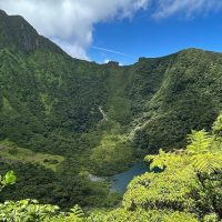Bus & Minivan Tours