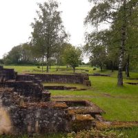 Bus & Minivan Tours