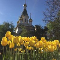 Archaeology Tours
