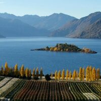 Weddings & Honeymoons