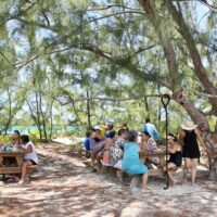 Full-day Tours