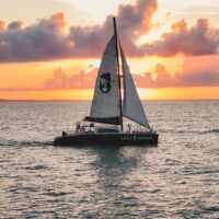 Catamaran Cruises