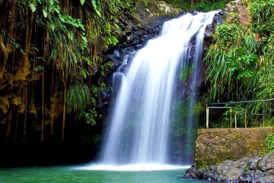 New Year’s Day long weekend in Grand Anse
