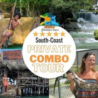 Bus & Minivan Tours