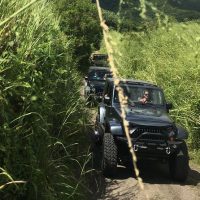 Audio Guided Tours