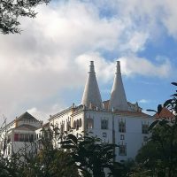 Day Trips & Excursions