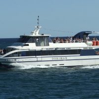 Water Transfers