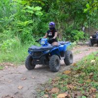Shore Excursions