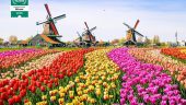Unique Amsterdam experience.