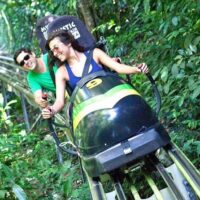 Holiday & Seasonal Tours