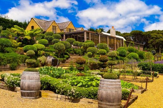 New Year’s Day long weekend in Waiheke Island