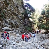 Eco Tours