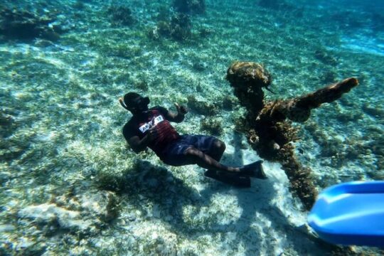 Valentine's Day in Negril