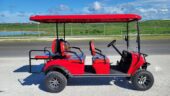 Very nice golf cart. Cleanest nicest ones!