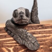 Sustainable Tours